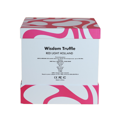 Wisdom Moon
