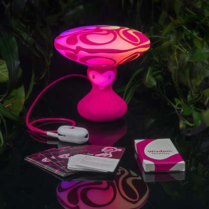 Wisdom Moon Mushroom Lamp